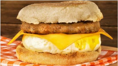 ലഗേജില്‍ രണ്ട് സാന്‍ഡ് വിച്ച് കൊണ്ടുവന്നു; യാത്രക്കാരന് വിമാന ടിക്കറ്റിനേക്കാള്‍ ഉയര്‍ന്ന തുക പിഴ 