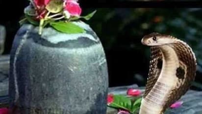 झारखंड के इस मंदिर में होता है नाग-नागिन के साक्षात दर्शन, 500 साल पहले मिली थी रहस्यमयी गुफा