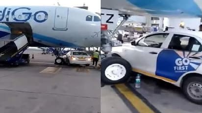 দিল্লি বিমানবন্দরে প্লেনের নিচে গাড়ি, ভয়াবহ দুর্ঘটনা এড়াল পাটনামুখী ইন্ডিগো উড়ান
