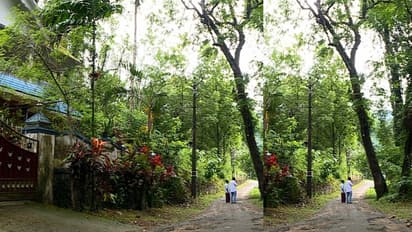 അനുമതി ലഭിച്ചിട്ട് മൂന്ന് വർഷം; വീടിന് ഭീഷണിയായ മരംമുറിക്കാൻ നടപടിയെടുക്കാതെ അധികൃതർ