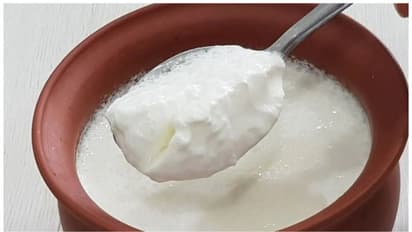 Dark Circles Home Remedies :  കണ്ണിന് ചുറ്റുമുള്ള 'ഡാർക്ക് സർക്കിൾ' മാറ്റാൻ ഇതാ ചില പൊടിക്കെെകൾ