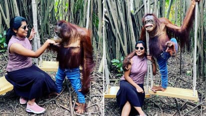 Watch: Chimpanzee in jeans hugs, kisses, poses with woman in Bangkok; Netizens love it