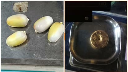 മലദ്വാരത്തിൽ ഒളിപ്പിച്ച് സ്വർണ്ണക്കടത്ത്, കരിപ്പൂരിൽ രണ്ട് പേർ പിടിയിൽ 