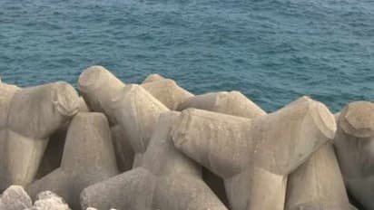 മനുഷ്യാവകാശ കമ്മീഷൻ ഇടപെടൽ;  കോതി കടപ്പുറത്ത് ചെന്നൈ ഐഐടി നിർദ്ദേശ പ്രകാരം പുലിമുട്ട് നിർമ്മിക്കാൻ 8 കോടി