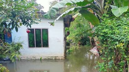 മഴക്കെടുതി: ആശങ്കയോടെ മാന്നാറിന്റെ പടിഞ്ഞാറൻ മേഖല, നിരവധി വീടുകളിൽ വെള്ളം കയറി