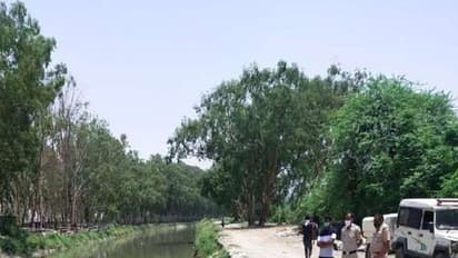 अंबाला में नहर के किनारे का दृश्य देख कांप गया किसान, टैटू खोल सकता है कई राज