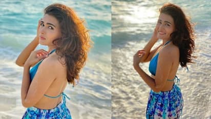 బీచ్ లో రెచ్చిపోయిన నార్త్ బ్యూటీ.. బ్రా అందాలతో.. ఘాటు పోజులతో పిచ్చెక్కిస్తున్న షాలినీ పాండే.. 