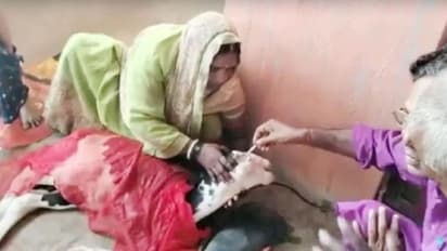 बिहार में हुआ चमत्कार! 2 सिर और 3 आंखें, लोग बोले-ये भगवान शिव का अवतार...वो पल सबको रूला गया