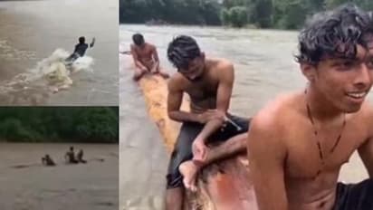 സീതത്തോടിലൂടെ ഒഴുകിയെത്തിയ കാട്ടുതടി പിടിക്കാൻ ശ്രമിച്ച യുവാക്കൾ അറസ്റ്റിൽ