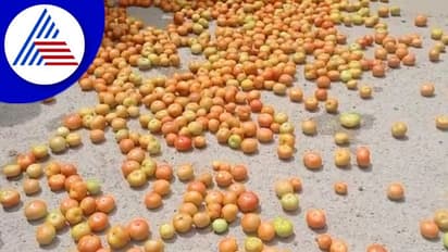 Gadag: ಒಂದು ರೂಪಾಯಿಗೆ ಕೆ.ಜಿ ಟೊಮೆಟೋ: ರಸ್ತೆಗೆ ಸುರಿದು ರೈತರ ಆಕ್ರೋಶ