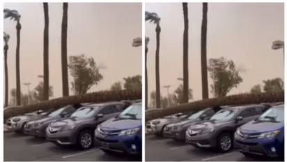 ഈ വാഹന ഡീലര്ഷിപ്പിനു മുകളില് മരം വീണു, കുലുക്കമില്ലാതെ എസ്യുവികള്!