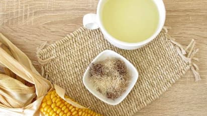 chikkaballapura : ರೇಷ್ಮೆ ಸೊಪ್ಪಿಗೆ ಕೆಂಪುತಲೆ ಹುಳುಗಳ ಕಾಟ