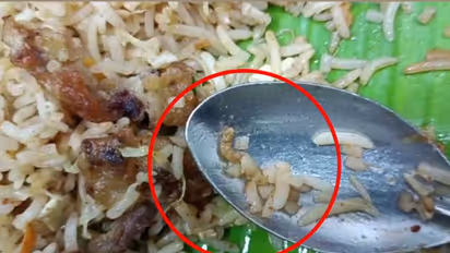 பிரைட் ரைஸில் புழு... சென்னையில் பிரபல உணவகத்திற்கு ஆப்பு..!