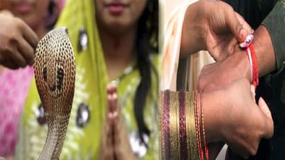 यहां नाग को दूध चढ़ाकर बहनें मनाती हैं 'रक्षाबंधन', भाई की पीठ पर लगाती हैं ये पवित्र चीज