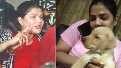 बिन मेकअप ऐसी दिखती है अर्पिता मुखर्जी, कैश कन्या की इन 7 फोटो को देख पीट लेंगे माथा 