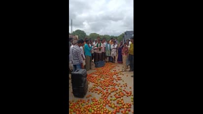 ಬೆಲೆ ಕುಸಿತ, ರಸ್ತೆಗೆ ಟೊಮೆಟೊ ಸುರುವಿ ಪ್ರತಿಭಟಿಸಿದ ಬೆಳೆಗಾರರು