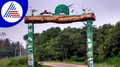ರಂಗನತಿಟ್ಟು ಪಕ್ಷಿಧಾಮಕ್ಕೆ ಅಂತಾರಾಷ್ಟ್ರೀಯ ಮಟ್ಟದಲ್ಲಿ ಸ್ಥಾನ: ರಾಮ್ಸರ್ ಪಟ್ಟಿಗೆ ಸೇರ್ಪಡೆ
