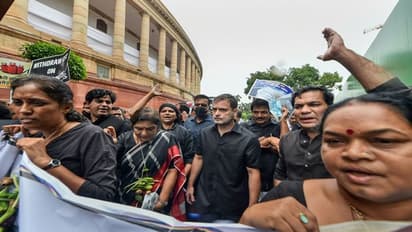 রাষ্ট্রপতি ভবনের পথে রাহুল গান্ধীকে আটক করল দিল্লি পুলিশ, ধুন্ধুমারকাণ্ড রাজধানীতে