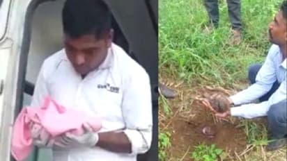 மண்ணில் இருந்து கேட்ட அந்த சத்தம்..பதற்றமான விவசாயி - கடைசியில் காத்திருந்த அதிர்ச்சி !