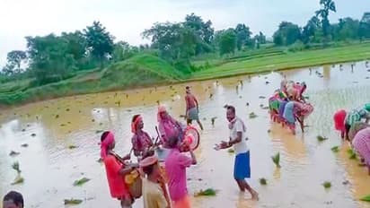 अनोखी परंपरा: झारखंड के इस जिले में किसान पहले देवतों को चढ़ाते हैं शराब, फिर शुरू होती है धान की खेती