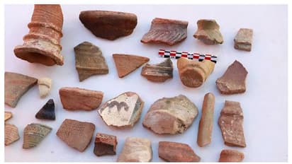 സൗദിയിലെ ഫറസാന്‍ ദ്വീപില്‍ 19 നൂറ്റാണ്ട് പഴക്കമുള്ള പുരാവസ്തുക്കള്‍ കണ്ടെത്തി