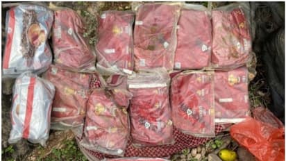 ഒമാനില്‍ 13 കിലോ ഹാഷിഷുമായി രണ്ടുപേര്‍ പിടിയില്‍