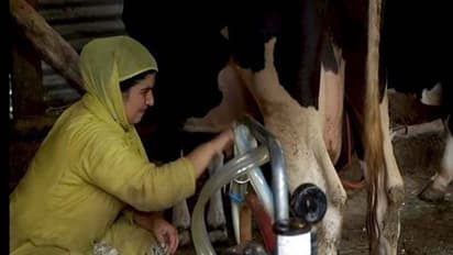 कश्मीर में बड़े-बड़े लोग इनकी डेयरी का दूध पीते हैं, 'डेयरी क्वीन' के नाम से फेमस हैं शहजादा अख्तर