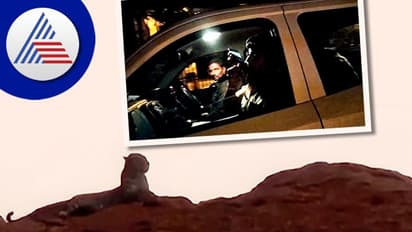 ಬಳ್ಳಾರಿ ಹೃದಯ ಭಾಗದ ಗುಡ್ಡದ ಮೇಲೆ ಚಿರತೆ ಪ್ರತ್ಯಕ್ಷ!