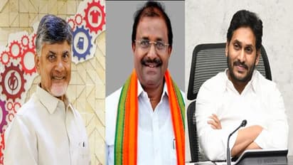 సోము వీర్రాజు వ్యాఖ్యలు: చంద్రబాబుతో బిజెపి నెయ్యం, వైఎస్ జగన్ కు చెక్