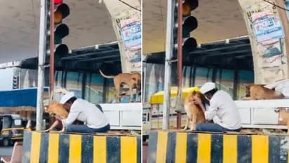 Street Dog : ഒരു നിമിഷം തിരക്കുകള്‍ മാറ്റിവച്ച് ഈ വീഡിയോ ഒന്ന് കണ്ടുനോക്കൂ...