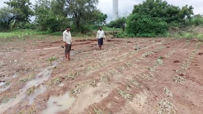 ಕಾಲುವೆ ಒಡೆದು ಅಪಾರ ಪ್ರಮಾಣ ಜಮೀನುಗಳಿಗೆ ನೀರು