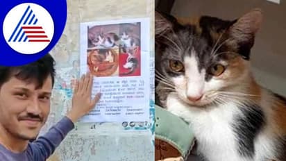 Mysuru: ಕೊನೆಗೂ ಪತ್ತೆಯಾಯ್ತು ನಾಪತ್ತೆಯಾಗಿದ್ದ ಬೆಕ್ಕು: ಬಹುಮಾನದ ಹಣ ಪಡೆಯಲು ನಿರಾಕರಣೆ