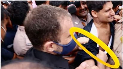 യുവാവിന്‍റെ ഷർട്ട് രാഹുൽ ഗാന്ധി വലിച്ച് കീറിയോ? ആരോപണവുമായി ബിജെപി ഐടി സെൽ തലവൻ; സോഷ്യൽ മീഡിയയിൽ വാദപ്രതിവാദം