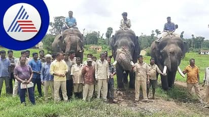 ಅದ್ಧೂರಿ ದಸರಾ ಆಚರಣೆಗೆ ಕೈಜೋಡಿಸಿ: ಮೈಸೂರು ಜಿಲ್ಲಾಡಳಿತ ಮನವಿ