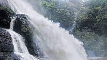 மக்களே ஹப்பி நியூஸ் !! ஆர்பரித்துக் கொட்டும் தண்ணீர்.. குற்றால அருவிகளில் குளிக்க அனுமதி..