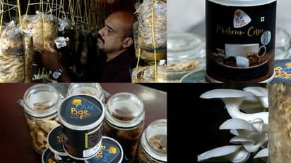 കൂണിൻ രുചിയിൽ കോഫി: പത്തനാപുരത്തിൻ്റെ മഷ്റൂം കോഫിക്ക് ആവശ്യക്കാരേറുന്നു