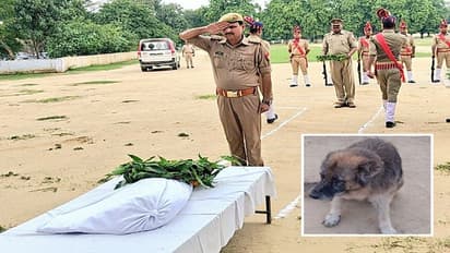 राजकीय सम्मान के साथ 'ओली' को गोंडा पुलिस ने दी अंतिम विदाई, नम हुई पुलिसकर्मियों की आंखें