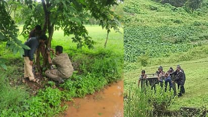 3 ದಿನ ಕಳೆದರೂ ಪತ್ತೆಯಾಗದ ಚಿರತೆ: ಅರಣ್ಯ ಸಿಬ್ಬಂದಿಯಿಂದ ತೀವ್ರ ಶೋಧ