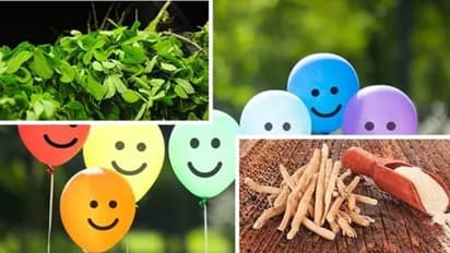  ದೇಹದಲ್ಲಿ ಹ್ಯಾಪಿ ಹಾರ್ಮೋನು ಹೆಚ್ಚಿಸುವ 7 ಅದ್ಭುತ ಗಿಡಮೂಲಿಕೆಗಳು