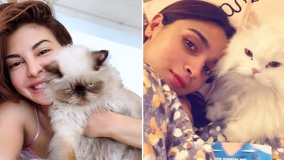 International Cat Day 2022: Disha Patani, Alia Bhatt, Jacqueline Fernandez, 7 divas who are cat lovers