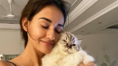  আলিয়া থেকে জ্যাকলিন বিড়াল-প্রেমে মজে বলি-সুন্দরীরা, দেখে নিন তাঁদের প্রিয় পোষ্যের সঙ্গে ছবিগুলি