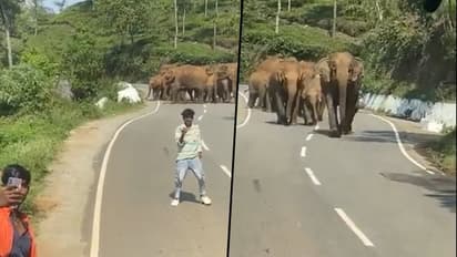 Men stop vehicle to take selfie with elephant herd; know what happens next