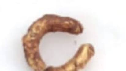 ஆதிச்சநல்லூர் அகழாய்வில் தங்கம், வெண்கலம் கண்டெடுப்பு.. தங்கத்திலான பட்டயம் கிடைத்ததாக தகவல்