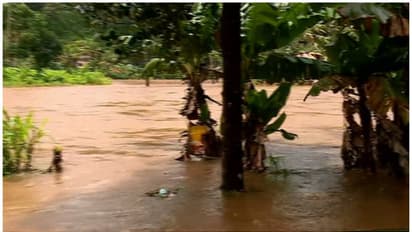 ഇടുക്കി,മുല്ലപ്പെരിയാർ ഡാമുകളിൽ ജലനിരപ്പ് ഉയർന്നു,മുല്ലപ്പെരിയാരിൽ നിന്ന് കൂടുതൽ വെള്ളമൊഴുക്കി തുടങ്ങി