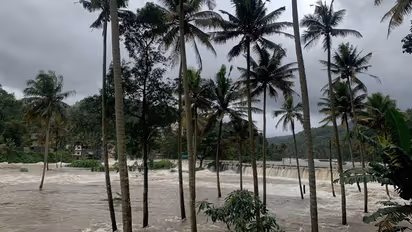 Kerala News Highlights :  Three shutters of Ponmudi dam opened due to heavy rainfall