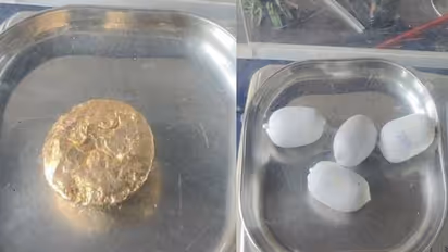 മലദ്വാരത്തിൽ ഒളിപ്പിച്ച നിലയിൽ 50 ലക്ഷത്തിന്റെ സ്വർണ്ണ മിശ്രിതം, കരിപ്പൂരിൽ വീണ്ടും സ്വർണം വേട്ട