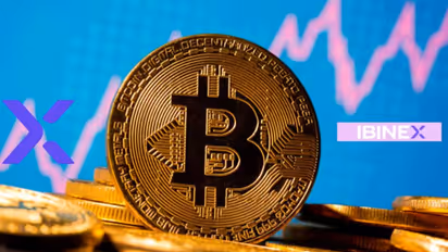 Why Is It Better For Companies To Accept Payment In Crypto? How Does Ibinex Act As A Payment Solution For Comp