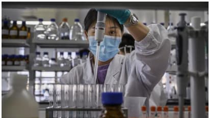 చైనాలో లాంగ్యా వైరస్ కలకలం.. ఈ వైరస్ తీవ్రత ఎంత? లక్షణాలేమిటీ? మనుషులకు ఎలా సోకింది?