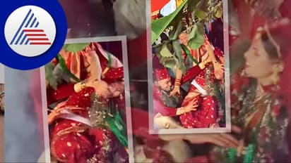 ಮದುವೆ ಮಂಟಪದಲ್ಲೇ ಹೊಡೆದಾಡಿಕೊಂಡ ಗಂಡು ಹೆಣ್ಣು: ಹೀಗೂ ಇರುತ್ತೆ..!