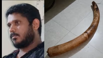 വിൽക്കാൻ ആനക്കൊമ്പുമായി വന്നയാളെ വനവകുപ്പ് പിടികൂടി